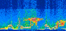 /calipso-imagery/data/BROWSE/production/V5-00/2016-06-15/2016-06-15_10-45-58_V5.00_3_thmb.png image missing