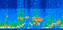 /calipso-imagery/data/BROWSE/production/V5-00/2016-06-15/2016-06-15_19-00-24_V5.00_3_thmb.png image missing