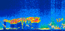 /calipso-imagery/data/BROWSE/production/V5-00/2016-06-15/2016-06-15_20-39-14_V5.00_1_thmb.png image missing