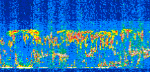 /calipso-imagery/data/BROWSE/production/V5-00/2016-06-21/2016-06-21_06-51-01_V5.00_2_thmb.png image missing