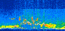 /calipso-imagery/data/BROWSE/production/V5-00/2016-06-21/2016-06-21_11-47-37_V5.00_2_thmb.png image missing