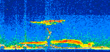 /calipso-imagery/data/BROWSE/production/V5-00/2016-06-21/2016-06-21_15-05-22_V5.00_2_thmb.png image missing