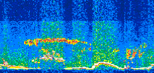 /calipso-imagery/data/BROWSE/production/V5-00/2016-06-21/2016-06-21_15-05-22_V5.00_3_thmb.png image missing