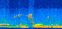 /calipso-imagery/data/BROWSE/production/V5-00/2016-06-21/2016-06-21_16-44-18_V5.00_2_thmb.png image missing