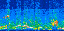 /calipso-imagery/data/BROWSE/production/V5-00/2016-06-21/2016-06-21_18-23-13_V5.00_3_thmb.png image missing