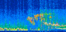 /calipso-imagery/data/BROWSE/production/V5-00/2016-06-21/2016-06-21_20-02-03_V5.00_2_thmb.png image missing