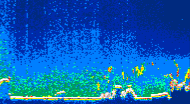 /calipso-imagery/data/BROWSE/production/V5-00/2016-07-06/2016-07-06_04-28-08_V5.00_4_thmb.png image missing