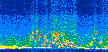 /calipso-imagery/data/BROWSE/production/V5-00/2016-07-06/2016-07-06_19-18-05_V5.00_3_thmb.png image missing
