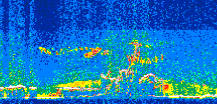 /calipso-imagery/data/BROWSE/production/V5-00/2016-07-08/2016-07-08_10-51-15_V5.00_2_thmb.png image missing