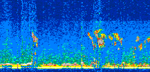 /calipso-imagery/data/BROWSE/production/V5-00/2016-07-15/2016-07-15_01-04-01_V5.00_2_thmb.png image missing