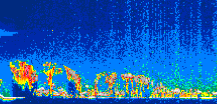 /calipso-imagery/data/BROWSE/production/V5-00/2016-07-15/2016-07-15_07-39-32_V5.00_1_thmb.png image missing