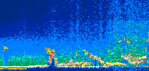 /calipso-imagery/data/BROWSE/production/V5-00/2016-07-15/2016-07-15_17-32-48_V5.00_1_thmb.png image missing