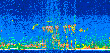 /calipso-imagery/data/BROWSE/production/V5-00/2016-07-15/2016-07-15_17-32-48_V5.00_2_thmb.png image missing