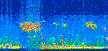 /calipso-imagery/data/BROWSE/production/V5-00/2016-07-21/2016-07-21_02-05-30_V5.00_2_thmb.png image missing