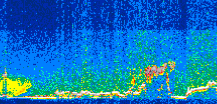 /calipso-imagery/data/BROWSE/production/V5-00/2016-07-21/2016-07-21_13-37-40_V5.00_3_thmb.png image missing