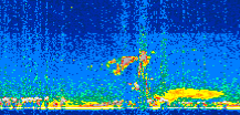 /calipso-imagery/data/BROWSE/production/V5-00/2016-07-21/2016-07-21_15-16-35_V5.00_2_thmb.png image missing