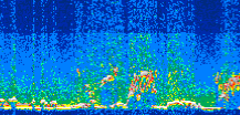 /calipso-imagery/data/BROWSE/production/V5-00/2016-07-21/2016-07-21_15-16-35_V5.00_3_thmb.png image missing