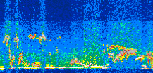 /calipso-imagery/data/BROWSE/production/V5-00/2016-07-21/2016-07-21_18-34-19_V5.00_3_thmb.png image missing