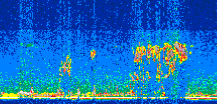 /calipso-imagery/data/BROWSE/production/V5-00/2016-08-01/2016-08-01_03-25-19_V5.00_2_thmb.png image missing
