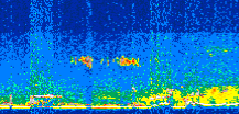 /calipso-imagery/data/BROWSE/production/V5-00/2016-08-01/2016-08-01_10-00-50_V5.00_2_thmb.png image missing