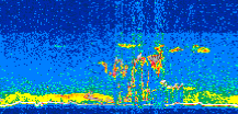 /calipso-imagery/data/BROWSE/production/V5-00/2016-08-01/2016-08-01_11-39-40_V5.00_2_thmb.png image missing