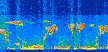 /calipso-imagery/data/BROWSE/production/V5-00/2016-08-07/2016-08-07_01-08-53_V5.00_2_thmb.png image missing