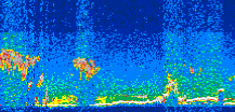/calipso-imagery/data/BROWSE/production/V5-00/2016-08-07/2016-08-07_04-26-38_V5.00_3_thmb.png image missing