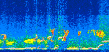/calipso-imagery/data/BROWSE/production/V5-00/2016-08-07/2016-08-07_14-19-55_V5.00_3_thmb.png image missing