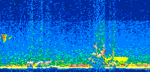 /calipso-imagery/data/BROWSE/production/V5-00/2016-08-07/2016-08-07_15-58-50_V5.00_2_thmb.png image missing