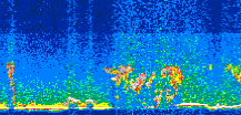 /calipso-imagery/data/BROWSE/production/V5-00/2016-08-07/2016-08-07_15-58-50_V5.00_3_thmb.png image missing