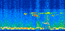 /calipso-imagery/data/BROWSE/production/V5-00/2016-08-07/2016-08-07_20-55-25_V5.00_2_thmb.png image missing