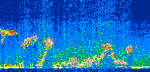 /calipso-imagery/data/BROWSE/production/V5-00/2016-08-15/2016-08-15_03-36-33_V5.00_3_thmb.png image missing