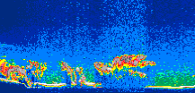 /calipso-imagery/data/BROWSE/production/V5-00/2016-08-15/2016-08-15_05-15-29_V5.00_1_thmb.png image missing