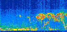 /calipso-imagery/data/BROWSE/production/V5-00/2016-08-15/2016-08-15_06-54-19_V5.00_2_thmb.png image missing