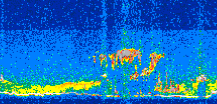 /calipso-imagery/data/BROWSE/production/V5-00/2016-08-15/2016-08-15_11-51-00_V5.00_2_thmb.png image missing