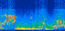 /calipso-imagery/data/BROWSE/production/V5-00/2016-08-21/2016-08-21_01-20-07_V5.00_3_thmb.png image missing