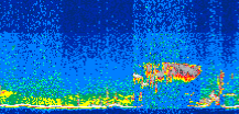/calipso-imagery/data/BROWSE/production/V5-00/2016-08-21/2016-08-21_11-13-24_V5.00_3_thmb.png image missing