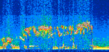 /calipso-imagery/data/BROWSE/production/V5-00/2016-10-10/2016-10-10_01-01-41_V5.00_2_thmb.png image missing