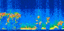 /calipso-imagery/data/BROWSE/production/V5-00/2016-10-10/2016-10-10_04-19-26_V5.00_3_thmb.png image missing