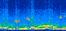 /calipso-imagery/data/BROWSE/production/V5-00/2016-10-16/2016-10-16_10-17-16_V5.00_2_thmb.png image missing