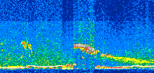 /calipso-imagery/data/BROWSE/production/V5-00/2016-10-16/2016-10-16_13-35-02_V5.00_2_thmb.png image missing