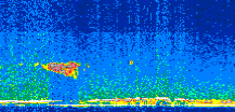 /calipso-imagery/data/BROWSE/production/V5-00/2016-10-16/2016-10-16_20-10-32_V5.00_2_thmb.png image missing