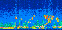 /calipso-imagery/data/BROWSE/production/V5-00/2016-10-18/2016-10-18_00-11-26_V5.00_3_thmb.png image missing