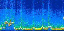 /calipso-imagery/data/BROWSE/production/V5-00/2016-10-18/2016-10-18_08-25-52_V5.00_2_thmb.png image missing