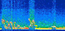 /calipso-imagery/data/BROWSE/production/V5-00/2016-10-18/2016-10-18_10-04-42_V5.00_2_thmb.png image missing