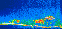 /calipso-imagery/data/BROWSE/production/V5-00/2016-10-18/2016-10-18_16-40-13_V5.00_1_thmb.png image missing