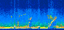 /calipso-imagery/data/BROWSE/production/V5-00/2016-10-18/2016-10-18_23-15-44_V5.00_3_thmb.png image missing