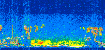 /calipso-imagery/data/BROWSE/production/V5-00/2016-10-19/2016-10-19_12-26-46_V5.00_3_thmb.png image missing