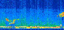 /calipso-imagery/data/BROWSE/production/V5-00/2016-10-20/2016-10-20_06-34-23_V5.00_2_thmb.png image missing
