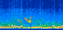 /calipso-imagery/data/BROWSE/production/V5-00/2016-10-20/2016-10-20_09-52-09_V5.00_2_thmb.png image missing